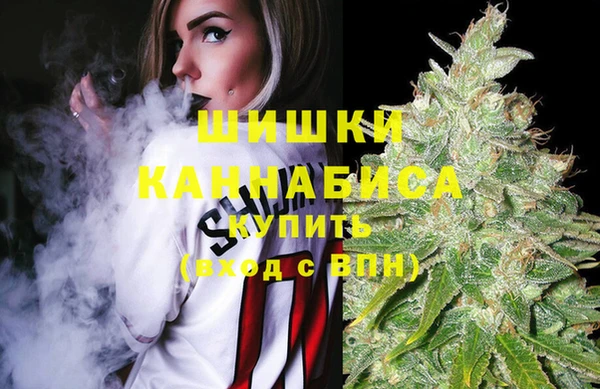 трава Пересвет