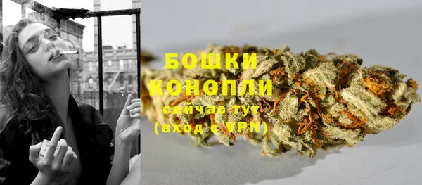 ПСИЛОЦИБИНОВЫЕ ГРИБЫ Пестово
