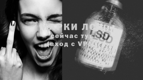 ПСИЛОЦИБИНОВЫЕ ГРИБЫ Пестово