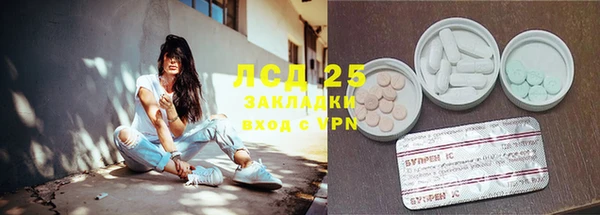 ПСИЛОЦИБИНОВЫЕ ГРИБЫ Пестово
