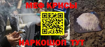 шишки Кингисепп