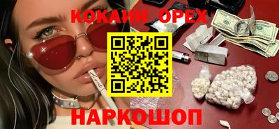 шишки Кингисепп