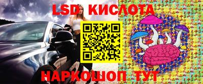 шишки Кингисепп