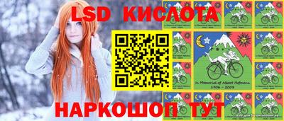 шишки Кингисепп