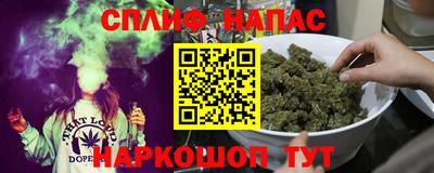 прущие грибы Кимры