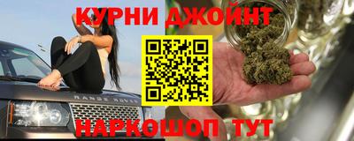 шишки Кингисепп