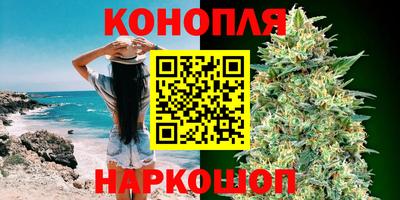 прущие грибы Кимры