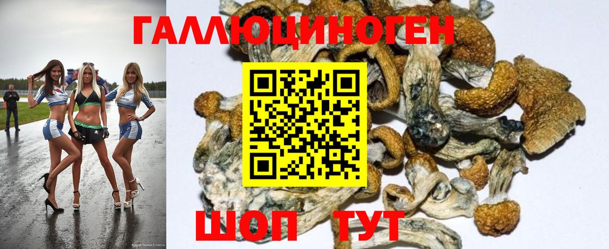 Галлюциногенные грибы MAGIC MUSHROOMS  Вход с VPN  Лянтор 