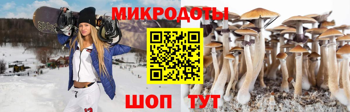 Галлюциногенные грибы прущие грибы Лянтор