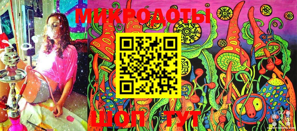 Псилоцибиновые грибы Psilocybe Лянтор